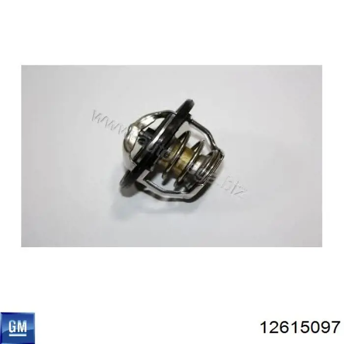 Купить 12615097 General Motors Автомобильный термостат
