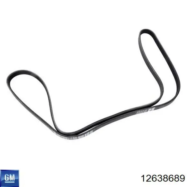 Натяжная планка поликлинового ремня General Motors 12656315