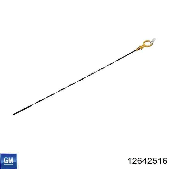  12642516 General Motors