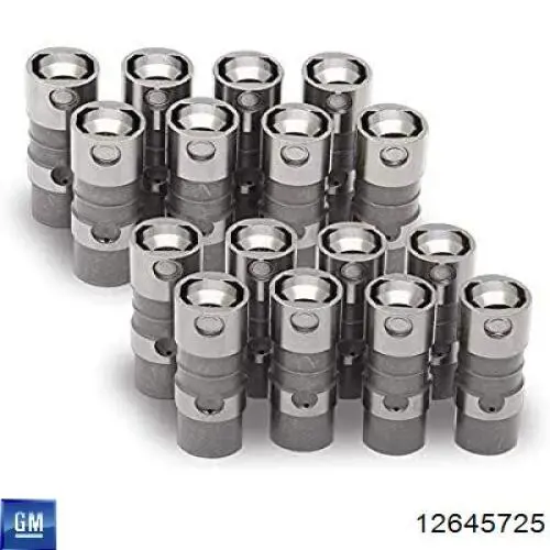 12645725 General Motors Гидрокомпенсатор