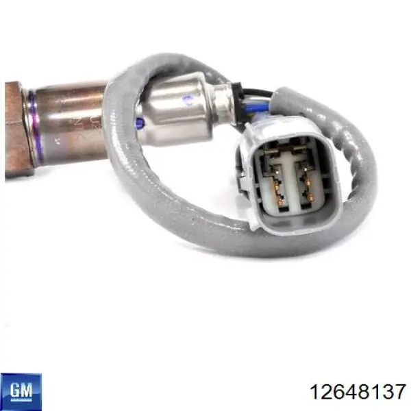  12648137 General Motors