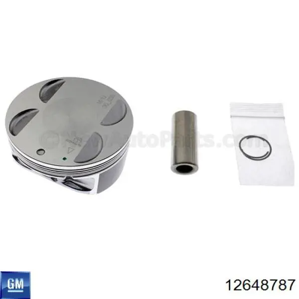  General Motors 12648787 цена, от 47.84 USD