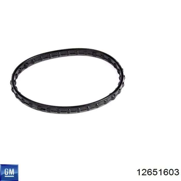 Купить 12651603 General Motors Автомобильный термостат