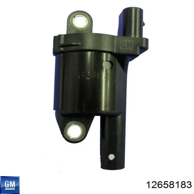 Катушка зажигания 12658183 General Motors