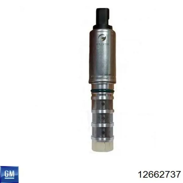 Купить TQ48100 Tqparts Клапан электромагнитный положения распредвала