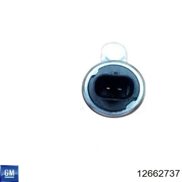 Клапан фазорегулятора TQ48100 Tqparts