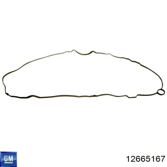 12665167 General Motors 