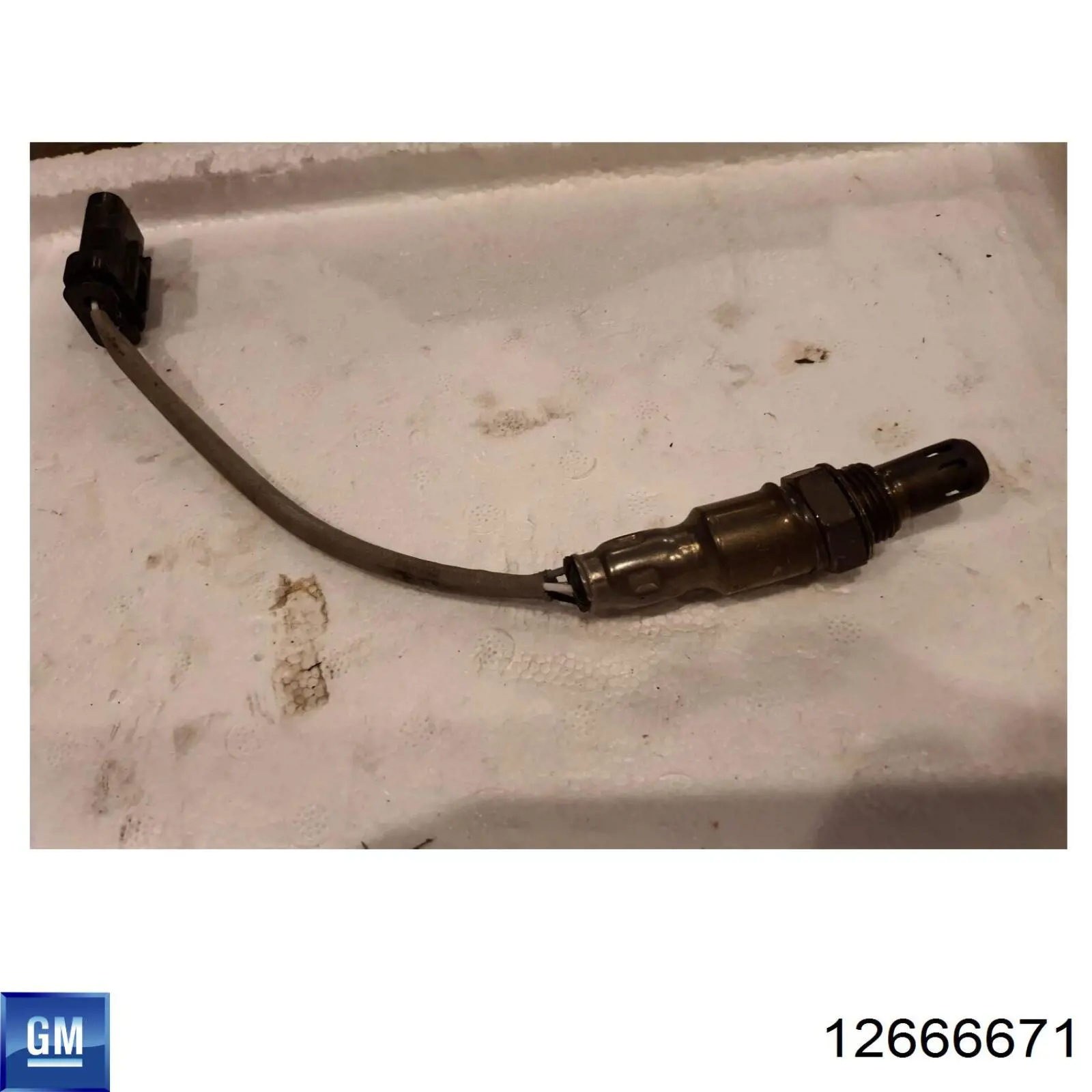 12666671 General Motors 