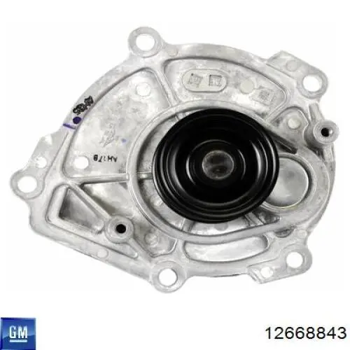 Водяной насос General Motors 12668843