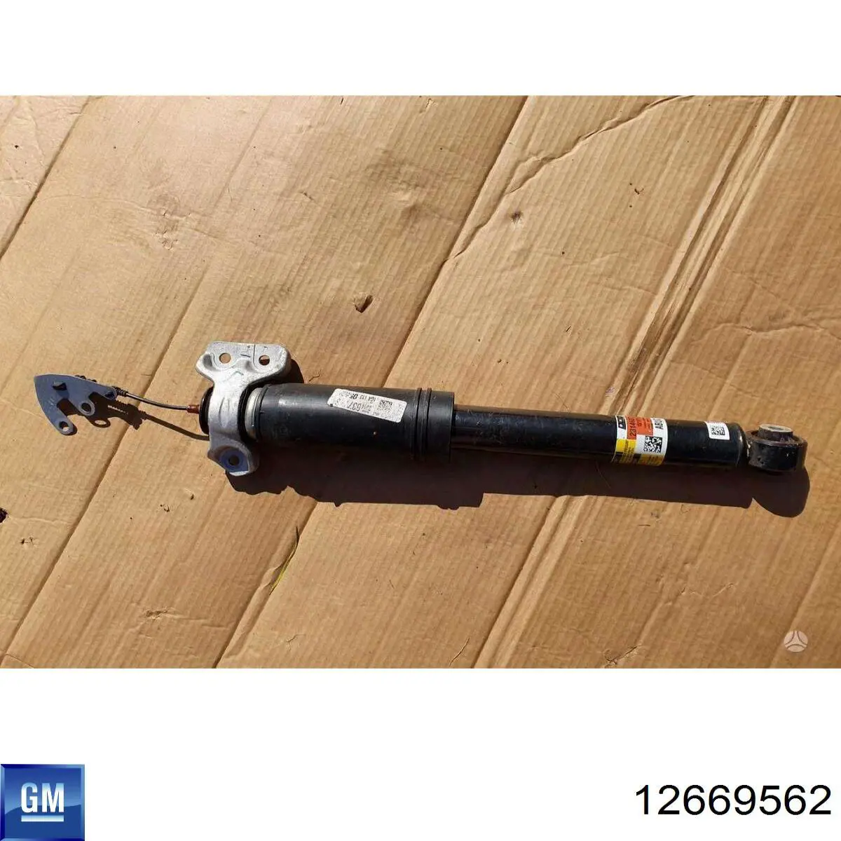  General Motors 12669562
