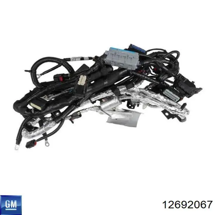  12672537 General Motors