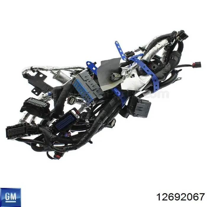 12672537 General Motors 
