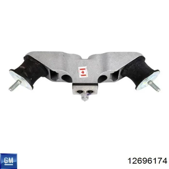  General Motors 12696174