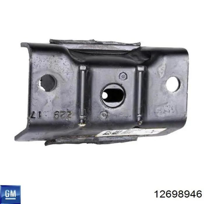 12698946 General Motors 