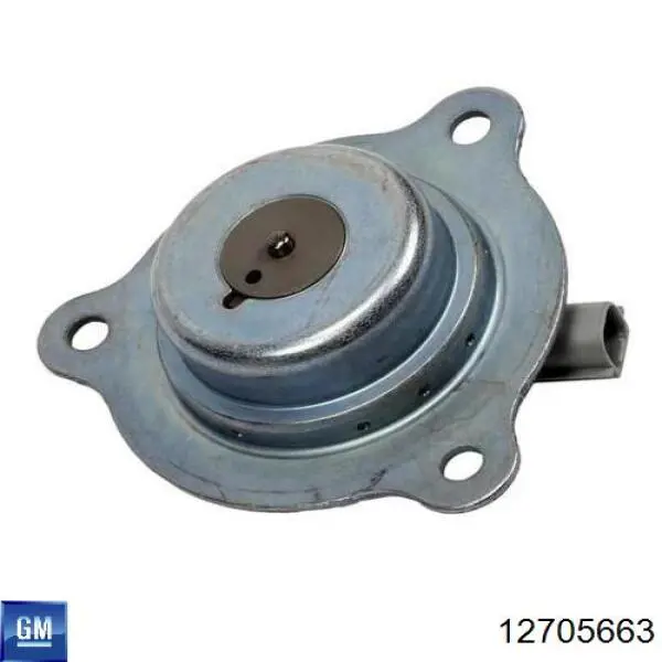 Крышка мотора задняя General Motors 12705663 цена, от 114.70 USD