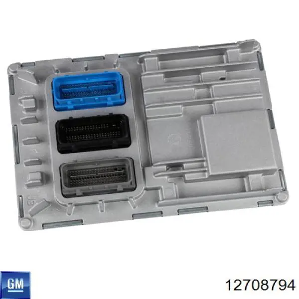 12725663 General Motors 
