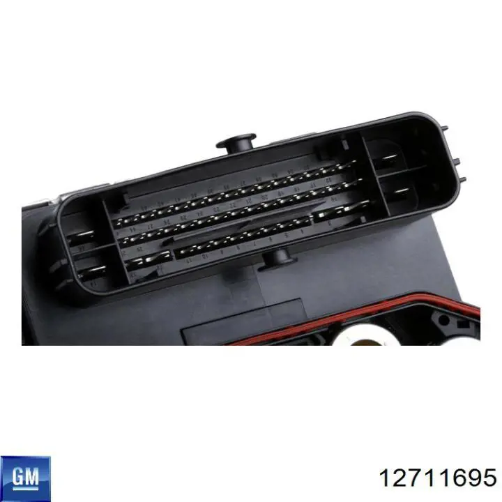 12719250 General Motors Мозги двигателя