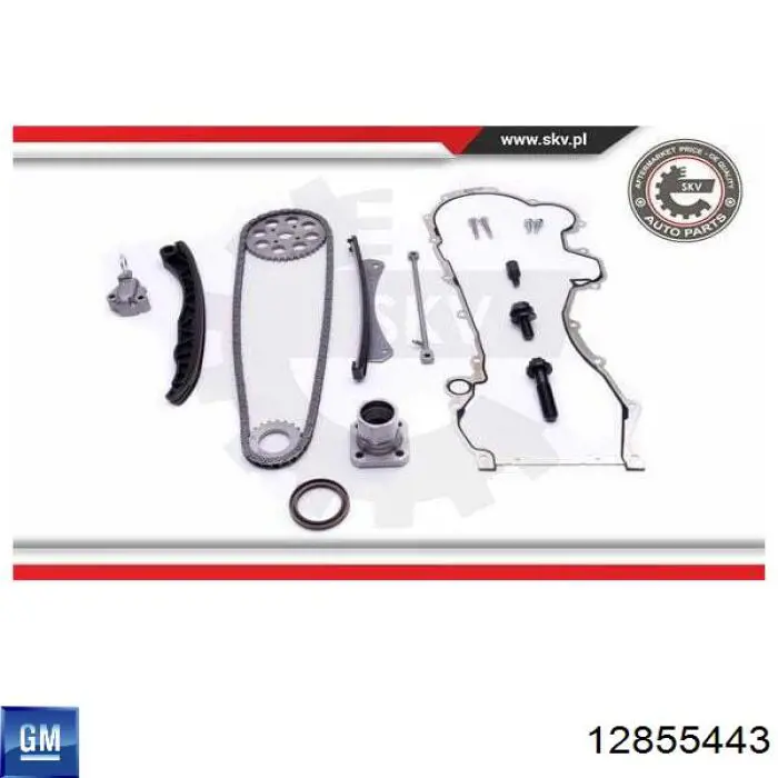 Башмак натяжителя цепи ГРМ Opel 636995 цена, от 14.77 USD