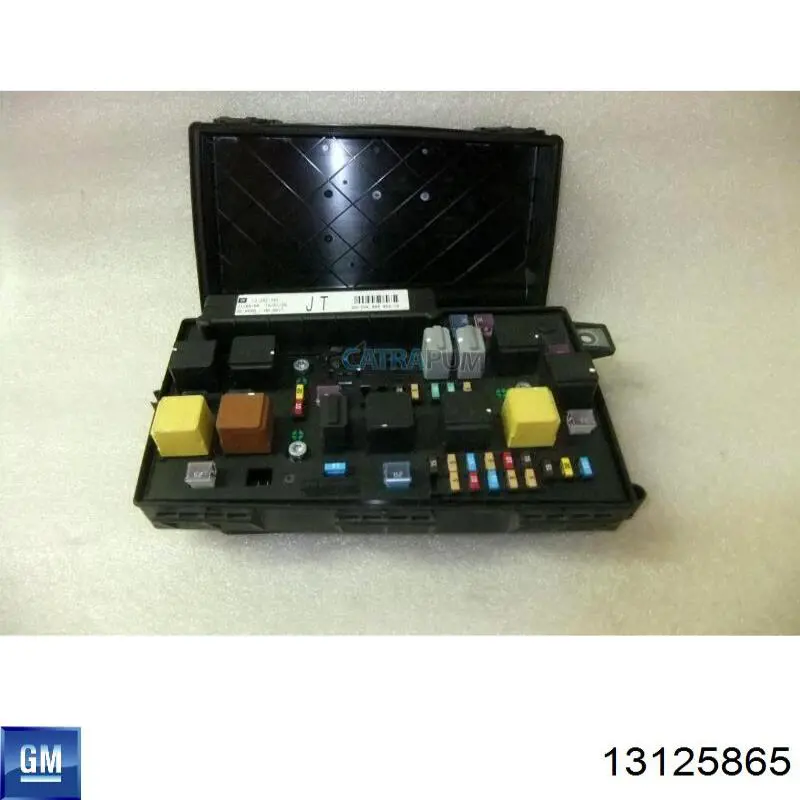 13125865 General Motors