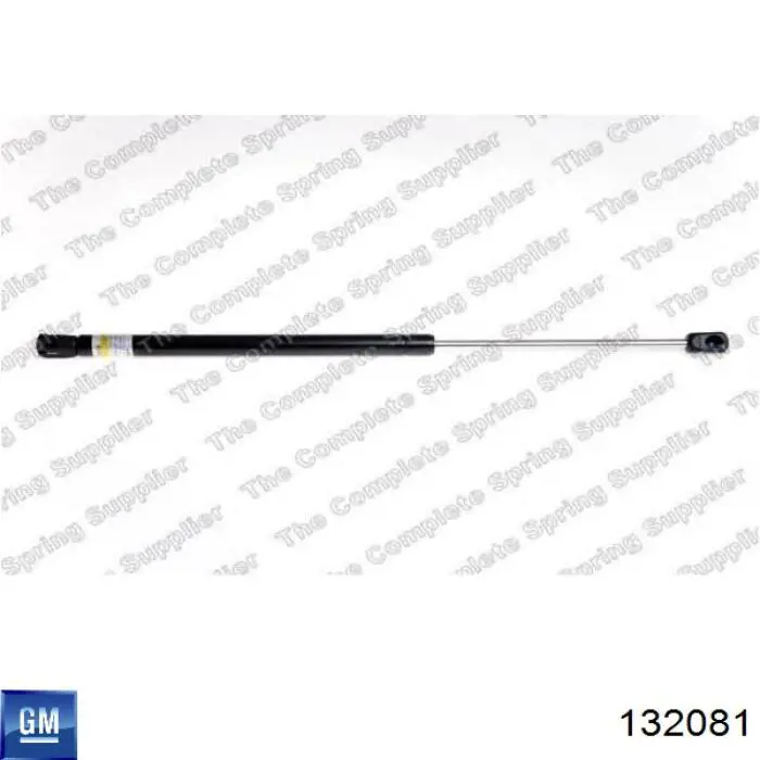 Амортизатор задней двери General Motors 132081 цена, от 10.32 USD