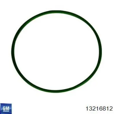  13216812 Opel