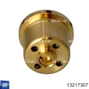 Компрессор кондиционера 13217307 General Motors