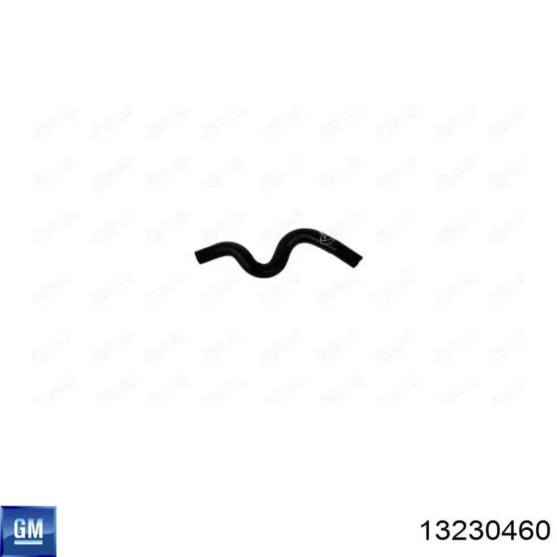  Sasic 3406294