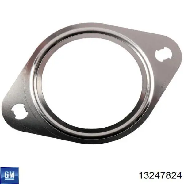 13247824 General Motors 