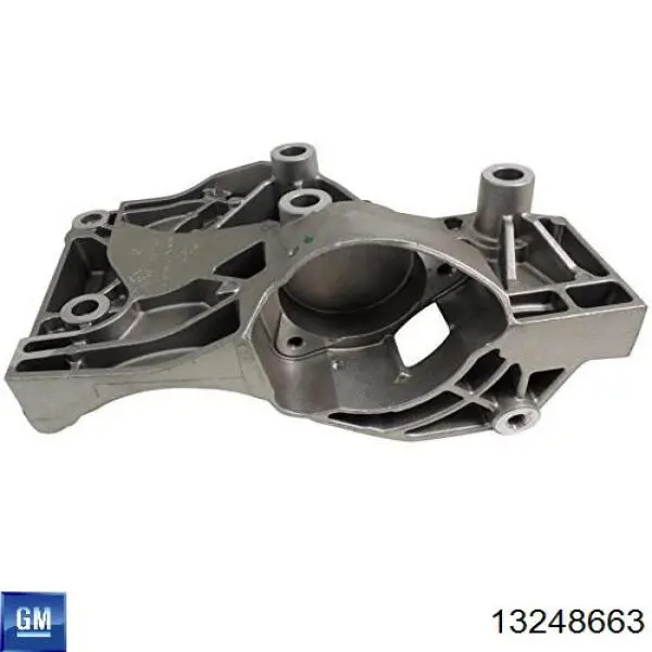 Купить 13248663 General Motors 