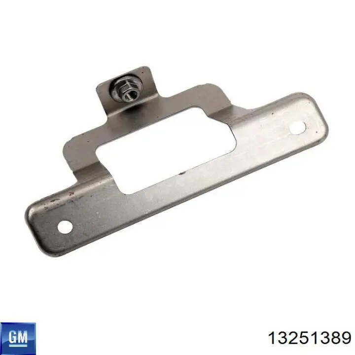 Купить 13251389 General Motors 