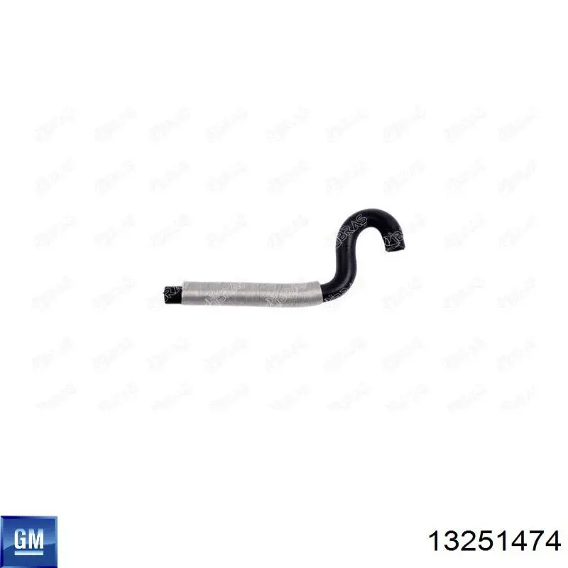  General Motors 13251474