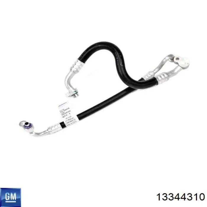  General Motors 13344310
