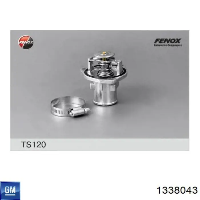 1338043 General Motors Авто термостат
