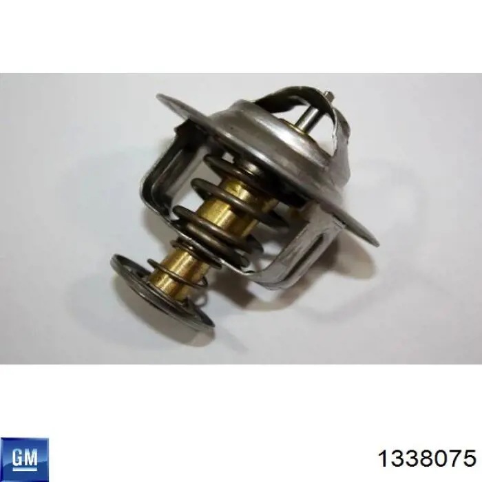 1338075 General Motors Авто термостат