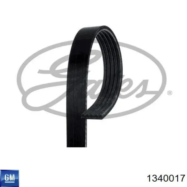 Купить 1340017 General Motors Ремень генератора