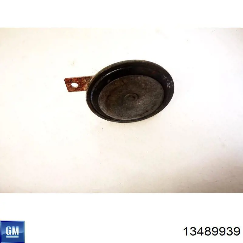 13489939 Opel 
