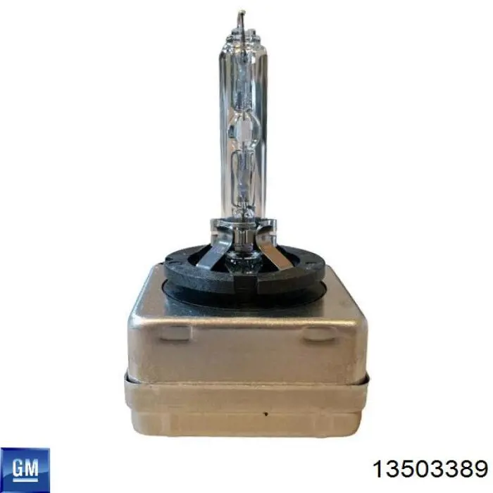 13503389 General Motors Биксенон