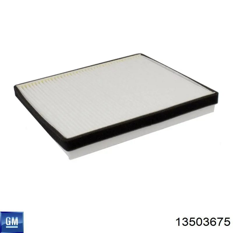 Фильтр салона 13503675 General Motors