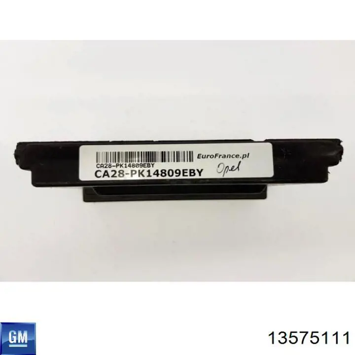 13575111 General Motors 