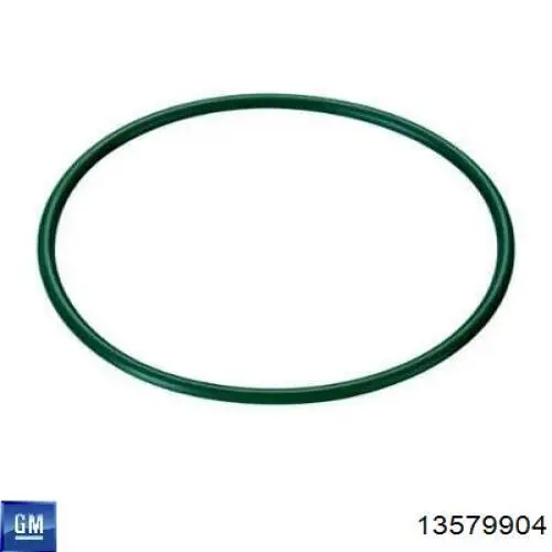 Купить 13579908 General Motors Модуль топливного насоса