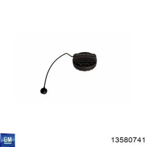 13580741 General Motors 