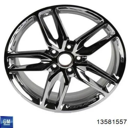  General Motors 13581557