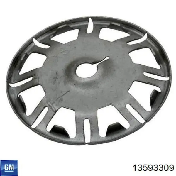 Топливный насос General Motors 13580533