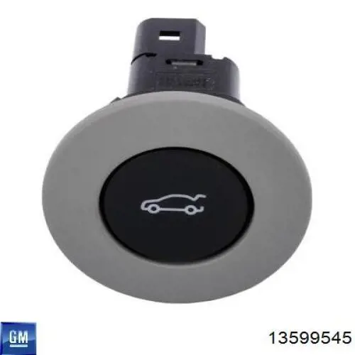  13599545 General Motors
