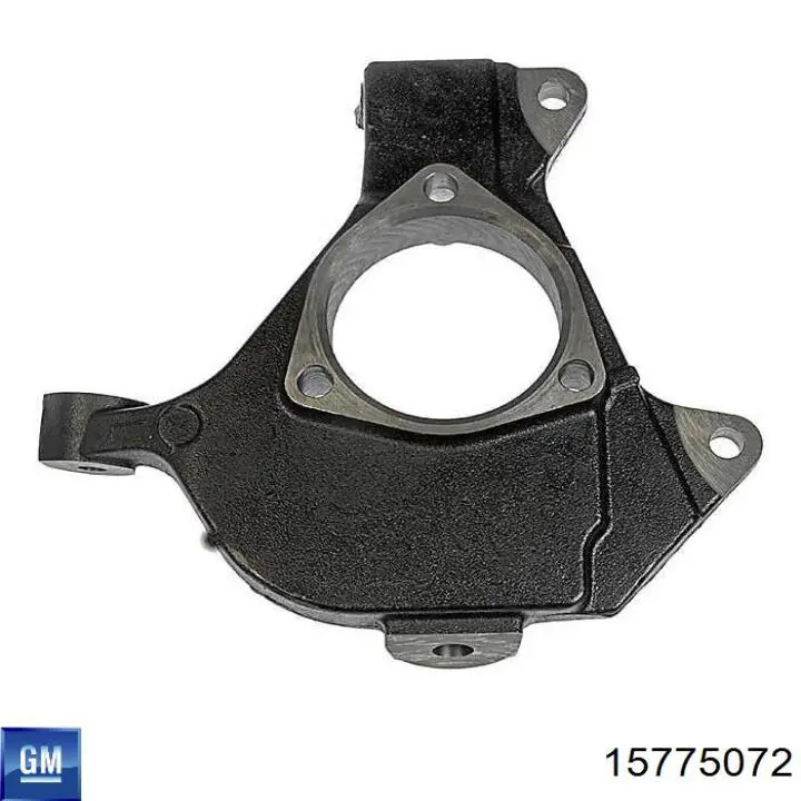 Цапфа поворотная правая Dorman 523241 цена, от 91.21 USD
