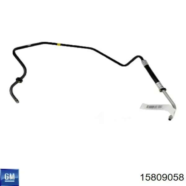 15809058 General Motors 