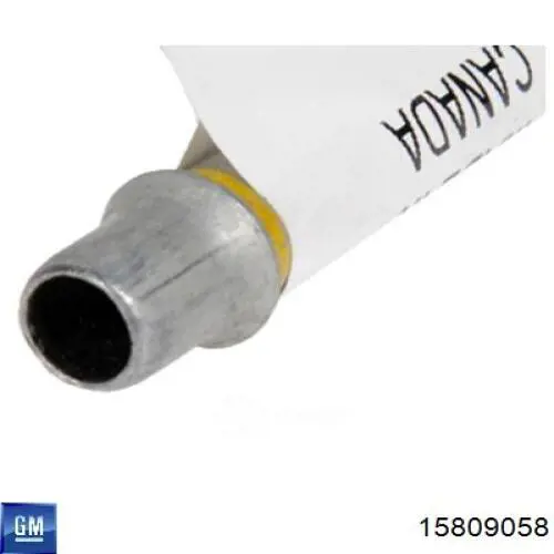 Купить 15809058 General Motors 