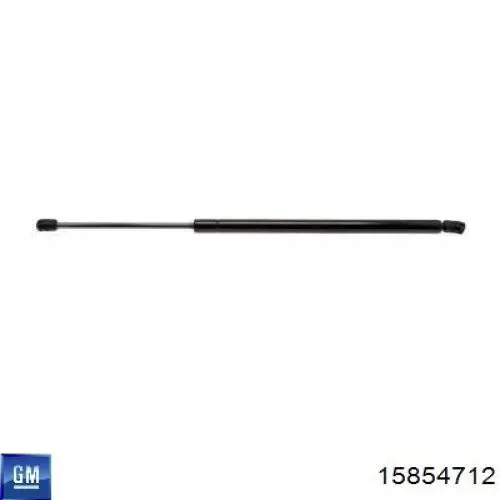 Амортизатор задней двери General Motors 15854712 цена, от 12.36 USD