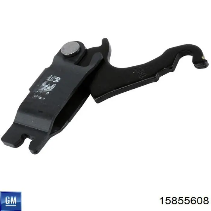 15855608 General Motors 