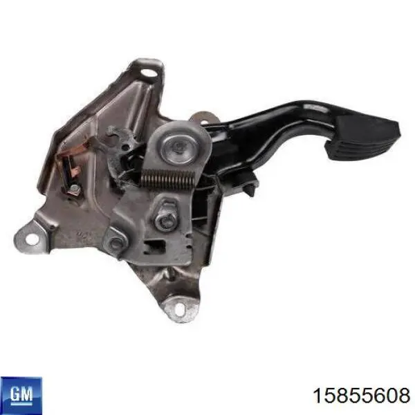 Купить 15855608 General Motors 